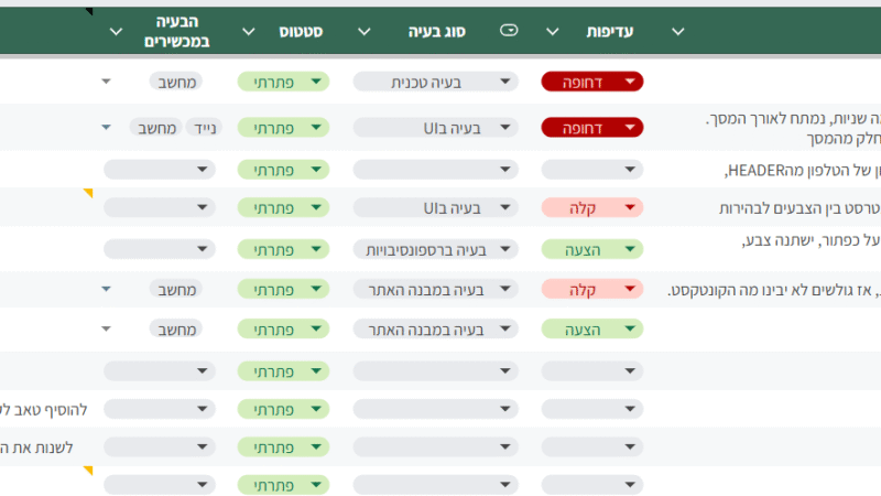 איפיון בעיות באתר